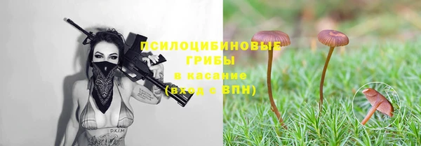 метадон Беломорск