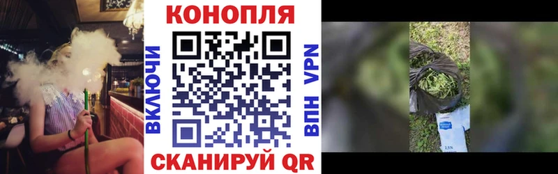 Шишки марихуана Amnesia  Городец 